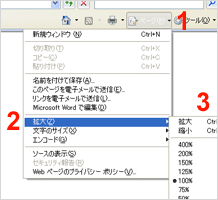 Internet Explorer 7 (画面全体を変更する)