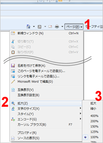 Internet Explorer 8 (画面全体を変更する)